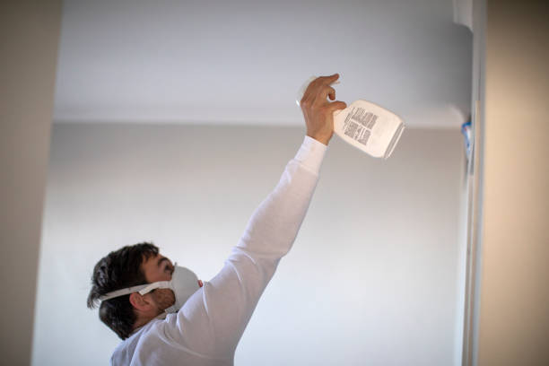 Best Mold Damage Repair  in Edgewater, NJ