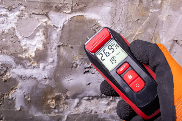Best Mold Testing  in Edgewater, NJ