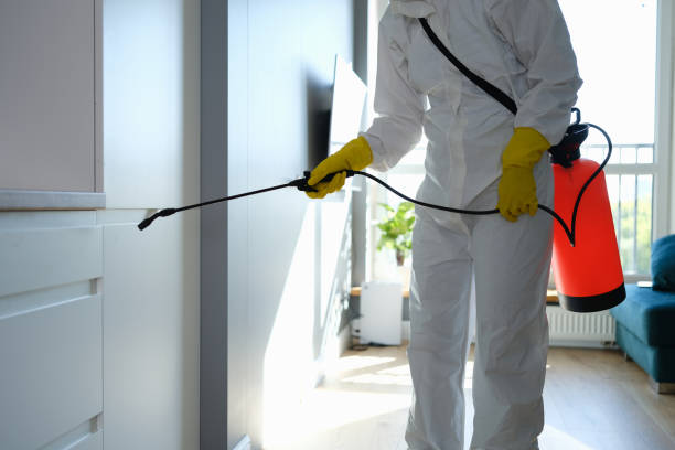 Certified Mold Removal in Edgewater, NJ