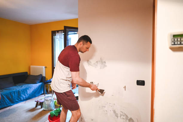 Best Home Mold Removal  in Edgewater, NJ