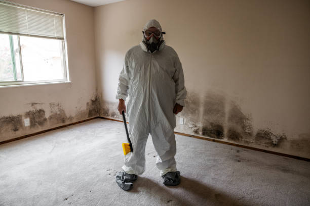 Best Residential Mold Removal  in Edgewater, NJ